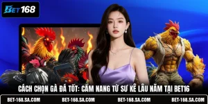 Cách Chọn Gà Đá Tốt